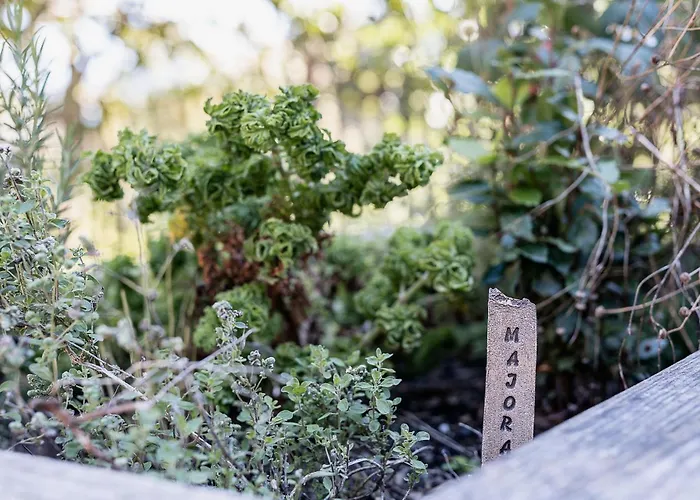 Gauahof Apartment Tschagguns